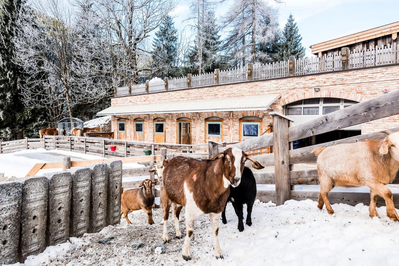 Peakini Farmhaus Villa Untertauern Exterior photo